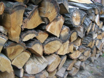 Local Seasoned Firewood: The Best Fuel for Your Fire