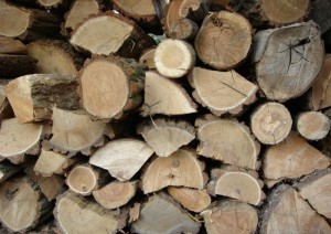 Local Seasoned Firewood - Cincinnati OH - Chimney Care Company